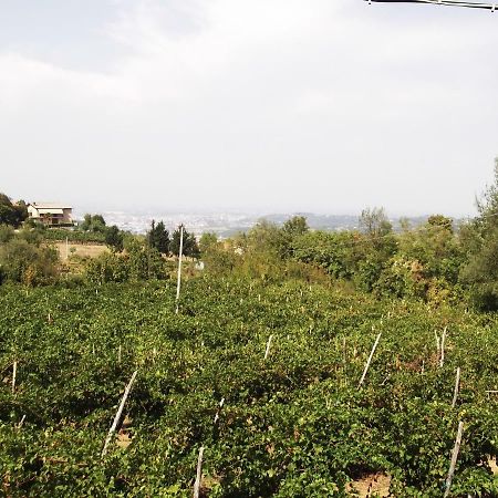 Villa La Panoramica à Perarolo Extérieur photo