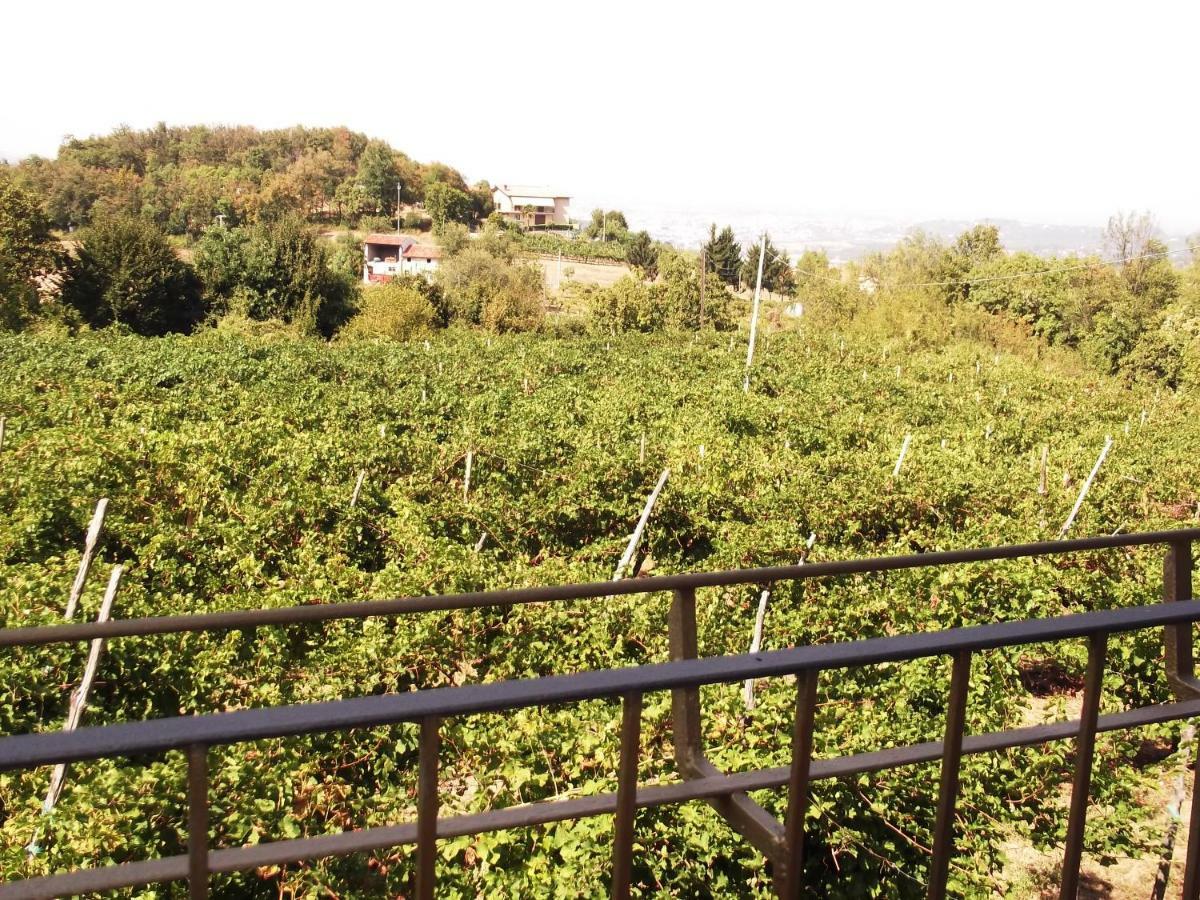 Villa La Panoramica à Perarolo Extérieur photo